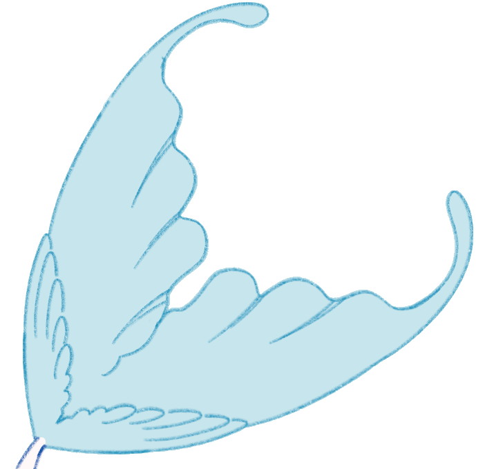 Round Edge Fin