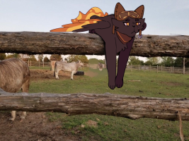 Submission thumbnail