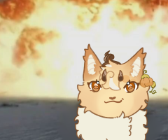 Submission thumbnail